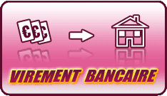 logo virement bancaire